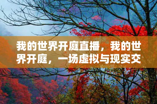 我的世界开庭直播,我的世界开庭,一场虚拟与现实交织的司法较量 我的世界开庭直播,我的世界开庭,一场虚拟与现实交织的司法较量