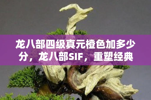 龙八部四级真元橙色加多少分,龙八部SIF,重塑经典,再续传奇 龙八部四级真元橙色加多少分,龙八部SIF,重塑经典,再续传奇