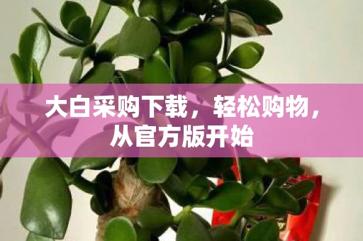 大白采购下载图片