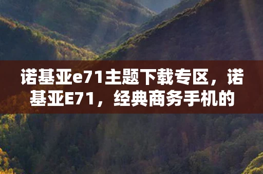 诺基亚e71主题下载专区，诺基亚E71，经典商务手机的永恒主题