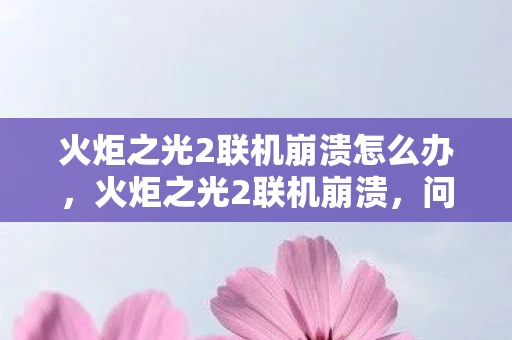 火炬之光2联机崩溃怎么办,火炬之光2联机崩溃,问题分析与解决方案 火炬之光2联机崩溃怎么办,火炬之光2联机崩溃,问题分析与解决方案