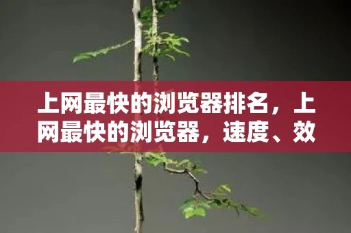 上网最快的浏览器排名,上网最快的浏览器,速度、效率与用户体验的完美结合 上网最快的浏览器排名,上网最快的浏览器,速度、效率与用户体验的完美结合