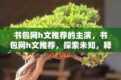 书包网h文推荐的主演，书包网h文推荐，探索未知，释放自我