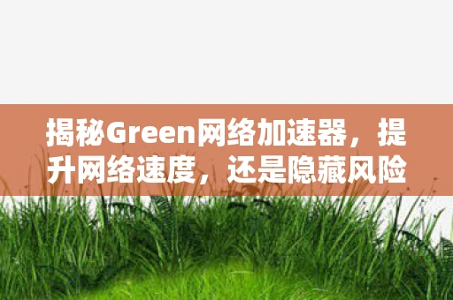 揭秘Green网络加速器，提升网络速度，还是隐藏风险？