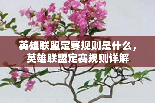 英雄联盟定赛规则是什么,英雄联盟定赛规则详解 英雄联盟定赛规则是什么,英雄联盟定赛规则详解