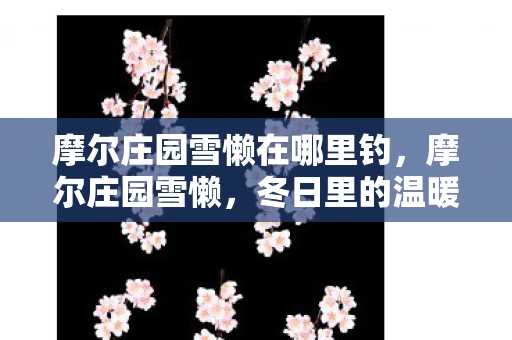 摩尔庄园雪懒在哪里钓,摩尔庄园雪懒,冬日里的温暖与乐趣 摩尔庄园雪懒在哪里钓,摩尔庄园雪懒,冬日里的温暖与乐趣