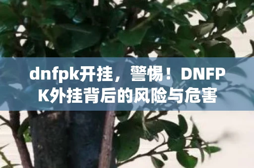 dnfpk开挂，警惕！DNFPK外挂背后的风险与危害