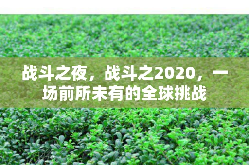 战斗之夜,战斗之2020,一场前所未有的全球挑战 战斗之夜,战斗之2020,一场前所未有的全球挑战