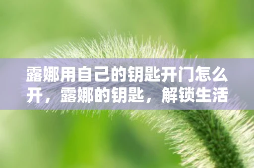 露娜用自己的钥匙开门怎么开,露娜的钥匙,解锁生活的秘密 露娜用自己的钥匙开门怎么开,露娜的钥匙,解锁生活的秘密