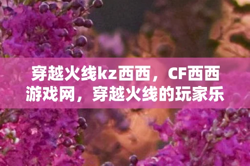 穿越火线kz西西,CF西西游戏网,穿越火线的玩家乐园 穿越火线kz西西,CF西西游戏网,穿越火线的玩家乐园