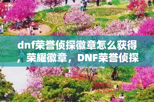 dnf荣誉侦探徽章怎么获得，荣耀徽章，DNF荣誉侦探的传奇