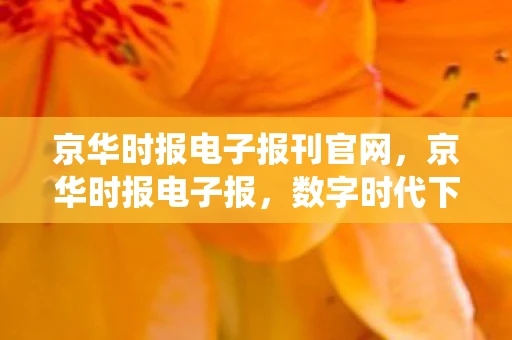 京华时报电子报刊官网，京华时报电子报，数字时代下的传统报纸转型