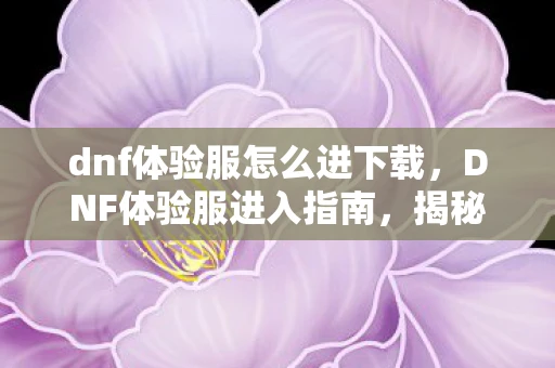 dnf体验服怎么进下载，DNF体验服进入指南，揭秘如何加入地下城与勇士的先行测试