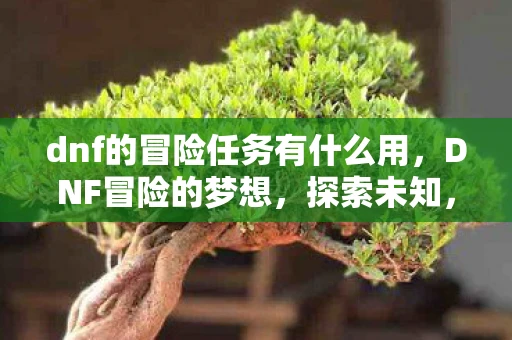 dnf的冒险任务有什么用，DNF冒险的梦想，探索未知，追寻荣耀