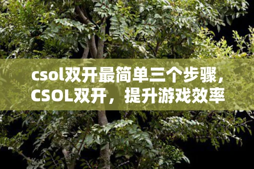 csol双开最简单三个步骤，CSOL双开，提升游戏效率与乐趣的实用技巧