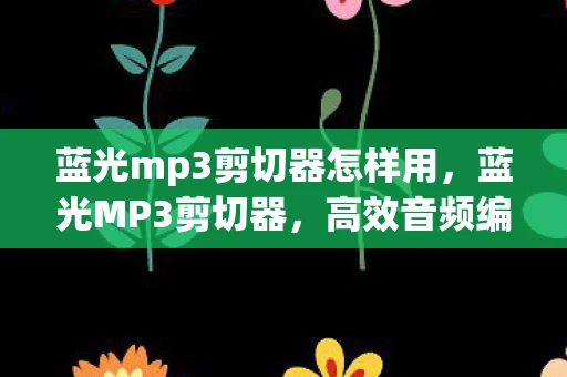 蓝光mp3剪切器怎样用，蓝光MP3剪切器，高效音频编辑工具