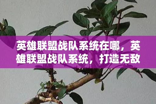 英雄联盟战队系统在哪，英雄联盟战队系统，打造无敌团队，征服召唤师峡谷