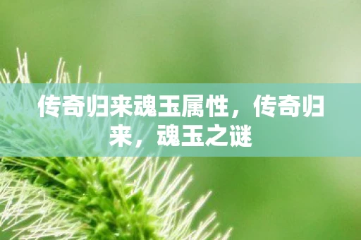 传奇归来魂玉属性，传奇归来，魂玉之谜