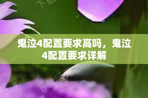 鬼泣4配置要求高吗，鬼泣4配置要求详解