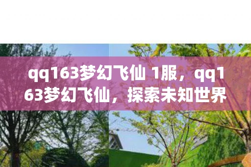 qq163梦幻飞仙 1服，qq163梦幻飞仙，探索未知世界的奇幻之旅
