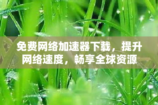 免费网络加速器下载，提升网络速度，畅享全球资源