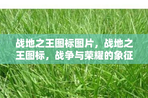 战地之王图标图片,战地之王图标,战争与荣耀的象征 战地之王图标图片,战地之王图标,战争与荣耀的象征