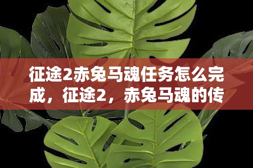 征途2赤兔马魂任务怎么完成，征途2，赤兔马魂的传奇故事