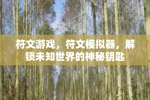 符文游戏，符文模拟器，解锁未知世界的神秘钥匙