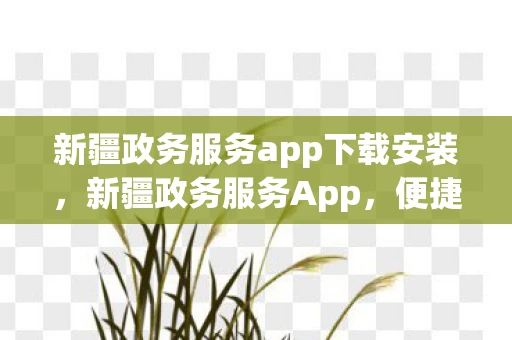 新疆政务服务app下载安装，新疆政务服务App，便捷高效的掌上政务平台
