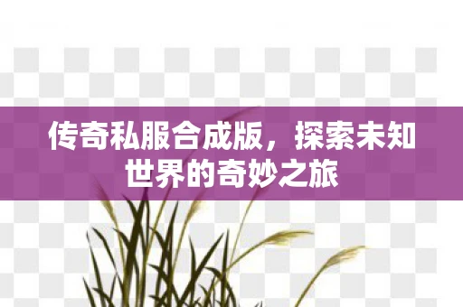 传奇私服合成版，探索未知世界的奇妙之旅