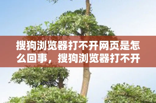 搜狗浏览器打不开网页是怎么回事,搜狗浏览器打不开网页,原因分析与解决策略 搜狗浏览器打不开网页是怎么回事,搜狗浏览器打不开网页,原因分析与解决策略