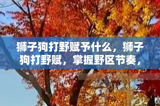 狮子狗打野赋予什么,狮子狗打野赋,掌握野区节奏,成为游戏主宰 狮子狗打野赋予什么,狮子狗打野赋,掌握野区节奏,成为游戏主宰