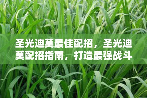 圣光迪莫最佳配招，圣光迪莫配招指南，打造最强战斗阵容