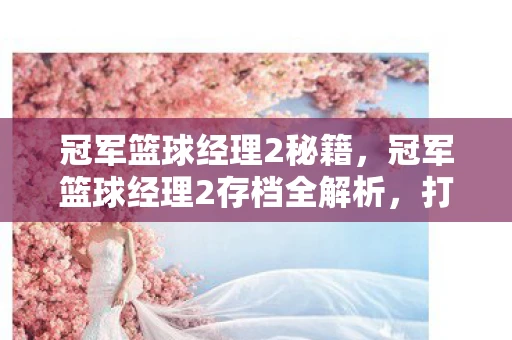 冠军篮球经理2秘籍，冠军篮球经理2存档全解析，打造无敌球队的策略与技巧