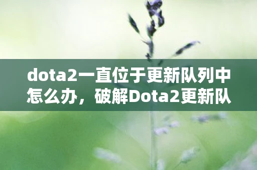 dota2一直位于更新队列中怎么办，破解Dota2更新队列之谜，优化你的游戏体验