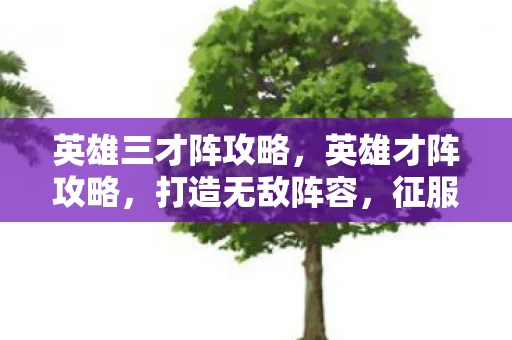 英雄三才阵攻略，英雄才阵攻略，打造无敌阵容，征服战场