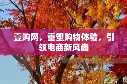 壹购网，重塑购物体验，引领电商新风尚