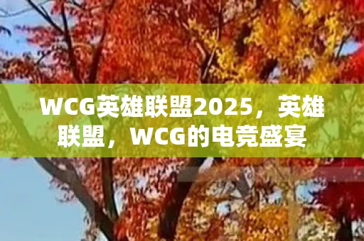 WCG英雄联盟2025，英雄联盟，WCG的电竞盛宴