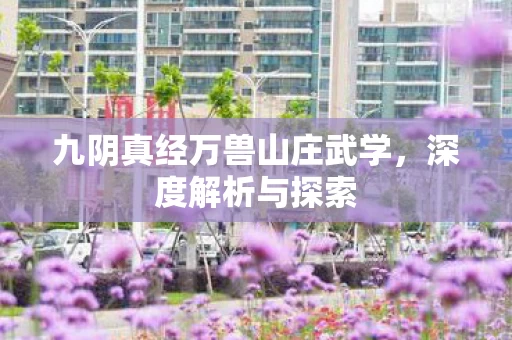 九阴真经万兽山庄武学图片