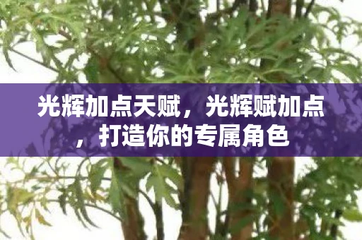 光辉加点天赋，光辉赋加点，打造你的专属角色