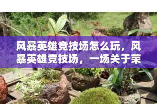 风暴英雄竞技场怎么玩,风暴英雄竞技场,一场关于荣耀与策略的盛宴 风暴英雄竞技场怎么玩,风暴英雄竞技场,一场关于荣耀与策略的盛宴