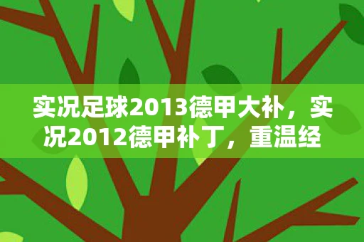 实况足球2013德甲大补，实况2012德甲补丁，重温经典，再现辉煌