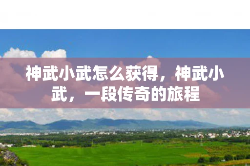 神武小武怎么获得,神武小武,一段传奇的旅程 神武小武怎么获得,神武小武,一段传奇的旅程