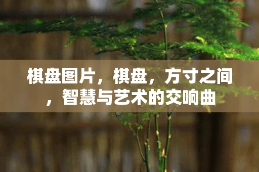 棋盘图片,棋盘,方寸之间,智慧与艺术的交响曲 棋盘图片,棋盘,方寸之间,智慧与艺术的交响曲