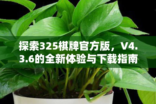 6的全新体验与下载指南图片