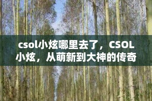 csol小炫哪里去了，CSOL小炫，从萌新到大神的传奇之路