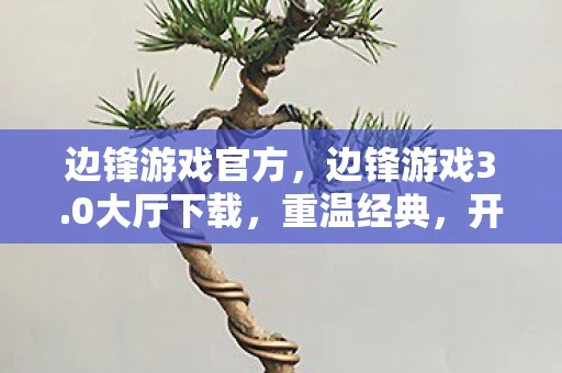 边锋游戏官方，边锋游戏3.0大厅下载，重温经典，开启全新游戏体验