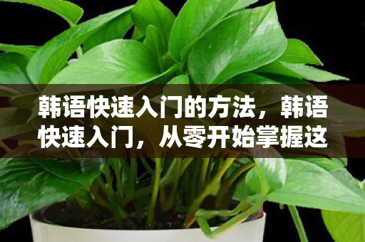 韩语快速入门的方法,韩语快速入门,从零开始掌握这门美丽语言 韩语快速入门的方法,韩语快速入门,从零开始掌握这门美丽语言