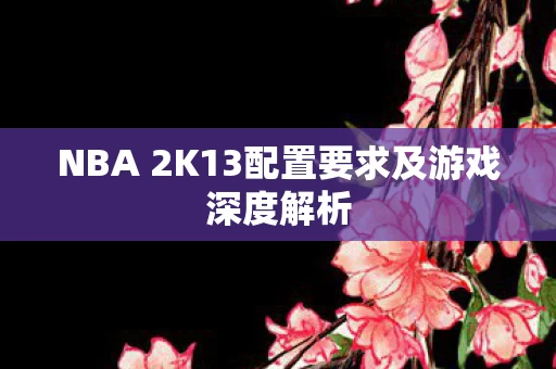 NBA 2K13配置要求及游戏深度解析图片