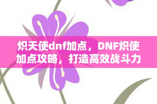 炽天使dnf加点,DNF炽使加点攻略,打造高效战斗力的关键 炽天使dnf加点,DNF炽使加点攻略,打造高效战斗力的关键